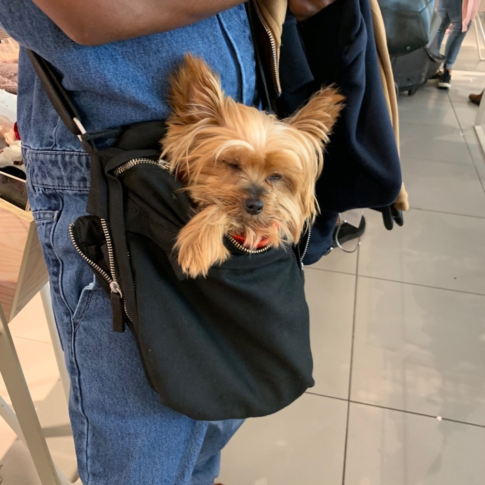 Meet Peanut